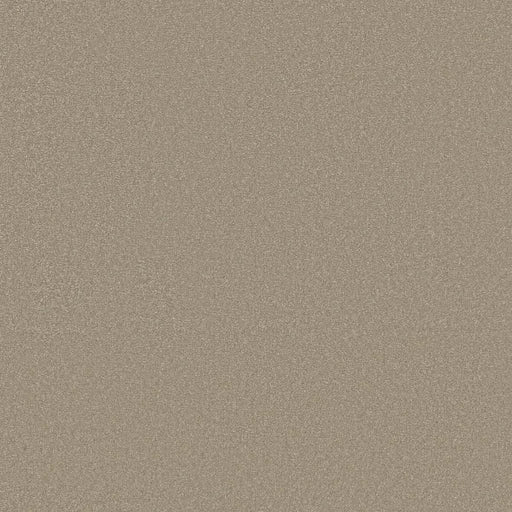 Shaw Floors - Carpet - Classics Collection  - Awaken Spirit I 12' - Neutral Ground