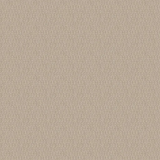 SHAW FLOORS - CARPET - SIMPLY THE BEST - LOOP DE LOOP - NATURAL WOOD