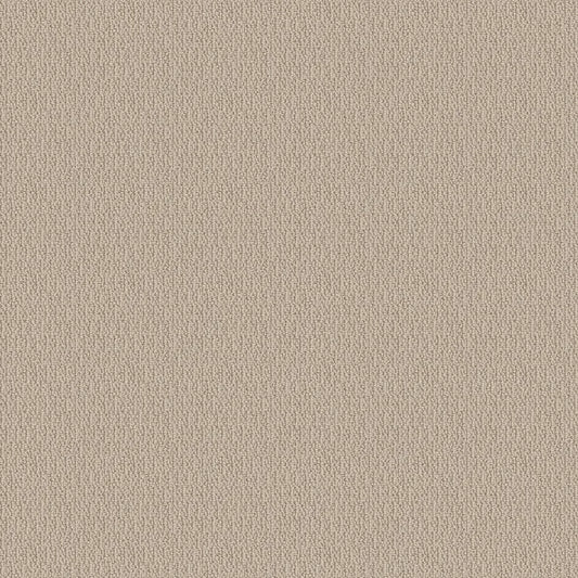 SHAW FLOORS - CARPET - SIMPLY THE BEST - LOOP DE LOOP - NATURAL WOOD