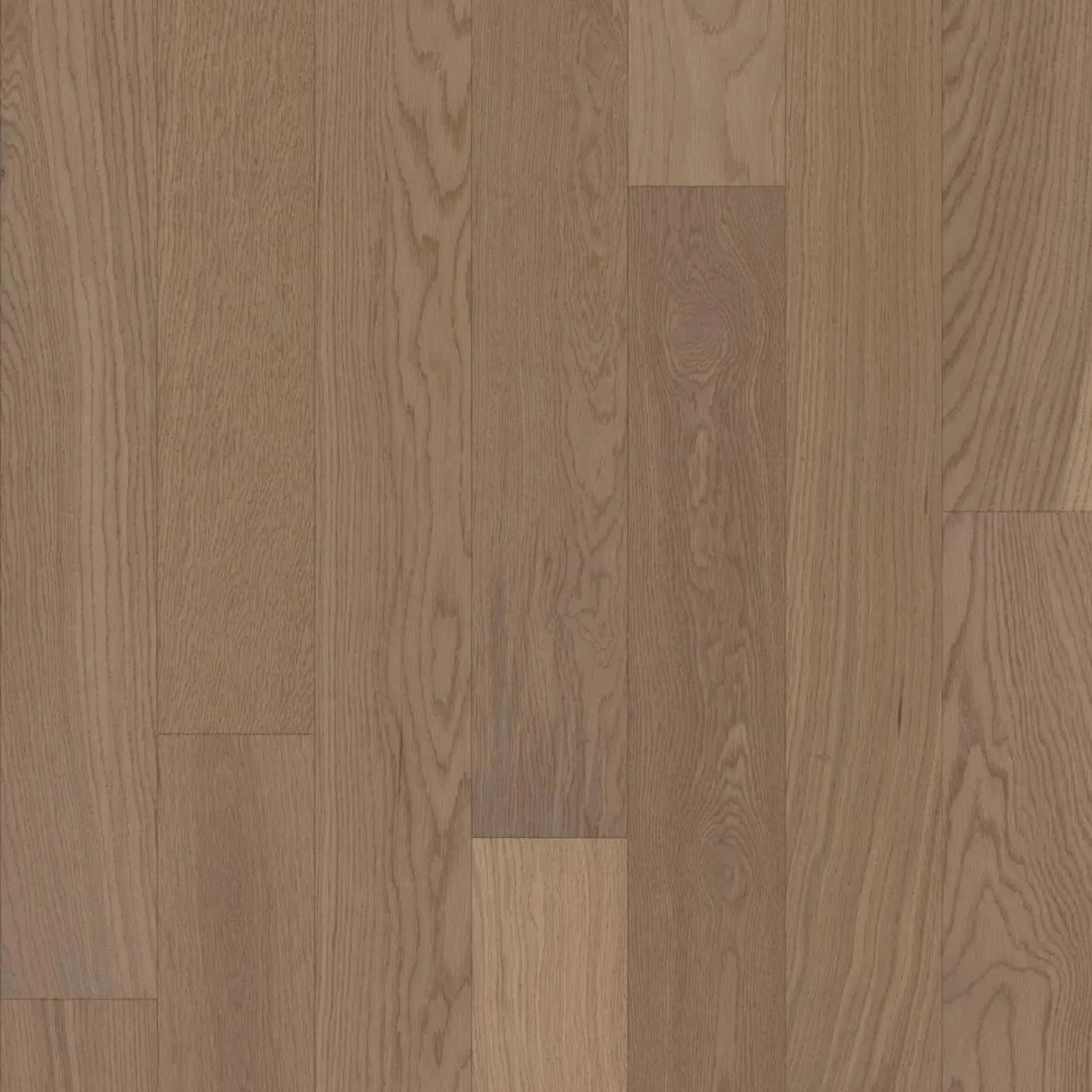 GoodFellow Ocean Falls Collection Nelson