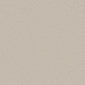 Shaw Floors - Carpet- Foundations Collection - HARMONIOUS II - Gallery Opening