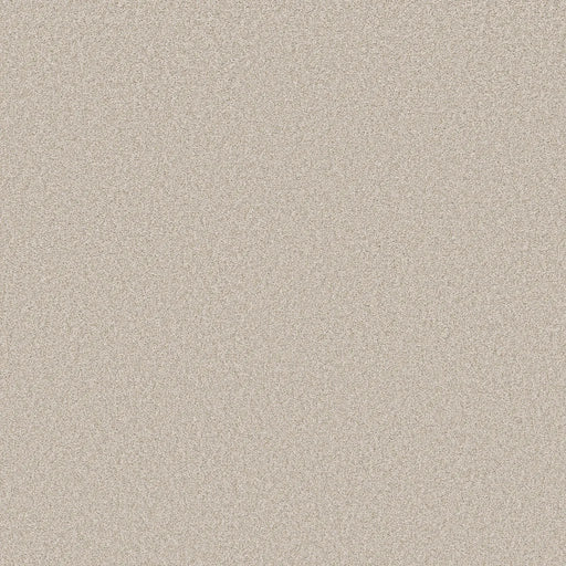 Shaw Floors - Carpet- Foundations Collection - HARMONIOUS II - Gallery Opening