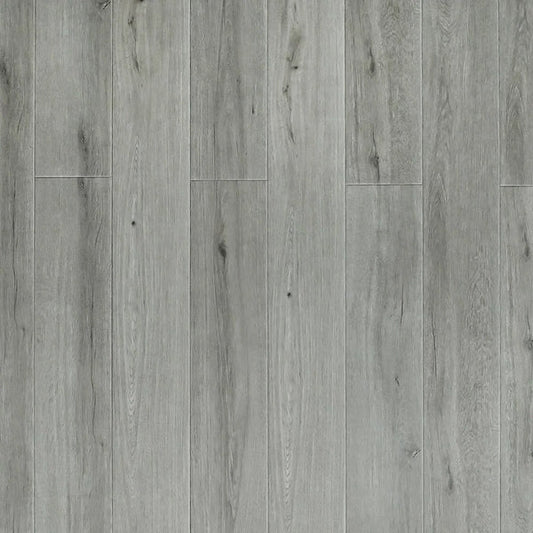 Toucan - SPC905 - Night Breeze