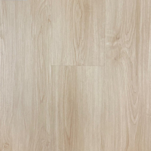 Simba - Universe Collection - Nova