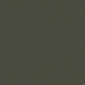 Shaw Floors - Carpet - Classics Collection  - Awaken Spirit II - 15' - Olive Tree