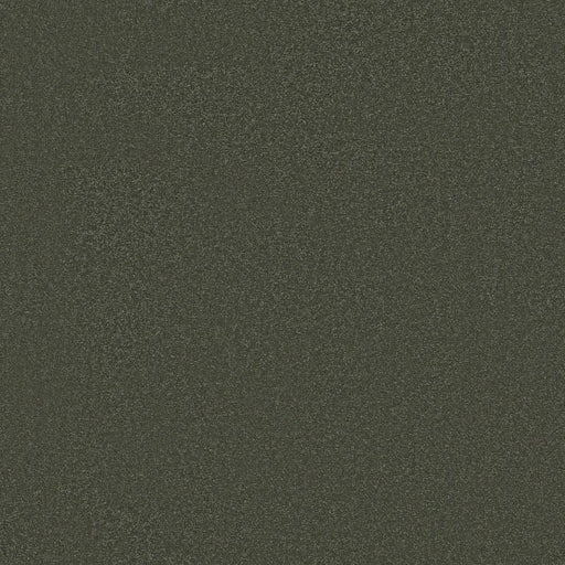 Shaw Floors - Carpet - Classics Collection  - Awaken Spirit I 12' - Olive Tree