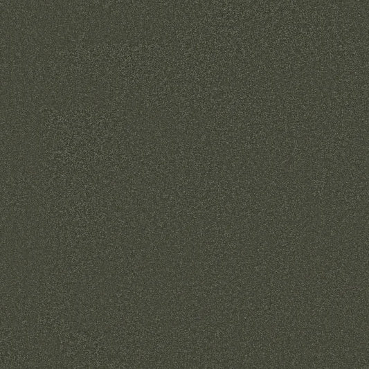 Shaw Floors - Carpet - Classics Collection  - Awaken Spirit I 12' - Olive Tree