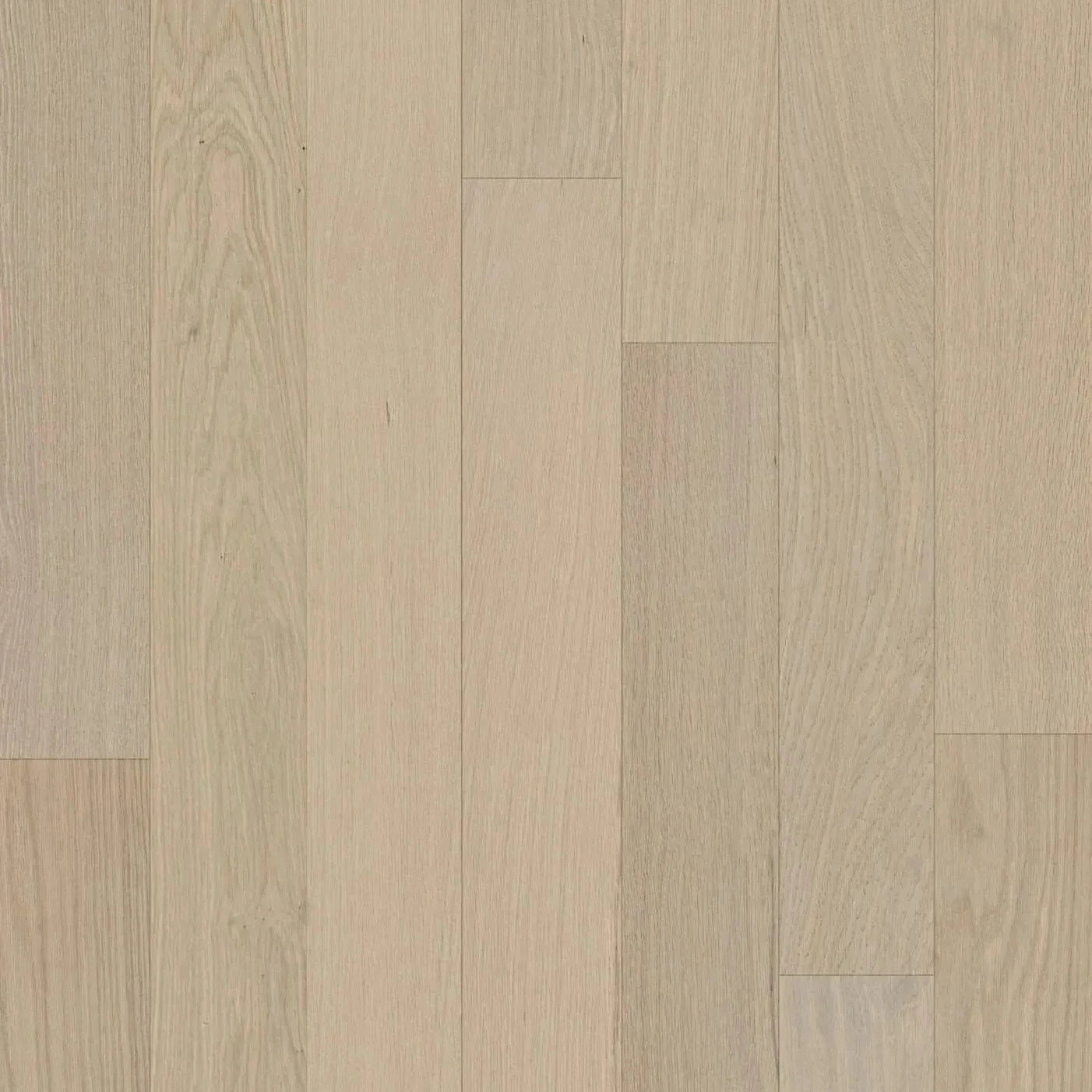 GoodFellow Ocean Falls Collection Harmony