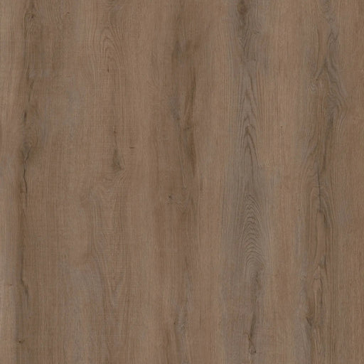 Goodfellow - Arctik Collection - Odda