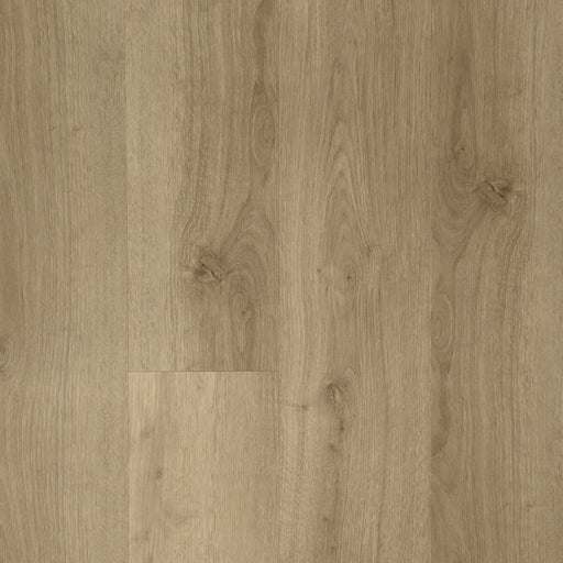Grandeur Flooring - Wonder 7 Collection - Olympia
