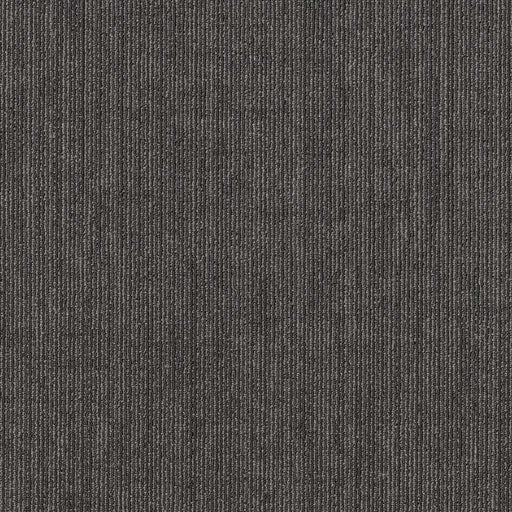 Shaw Floors - 5th & Main Carpet - Native Collection - ORIGINAL