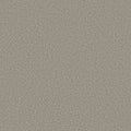 Shaw Floors - Carpet - Simply The Best  - TRUSOLUTIONS III - Stone Path