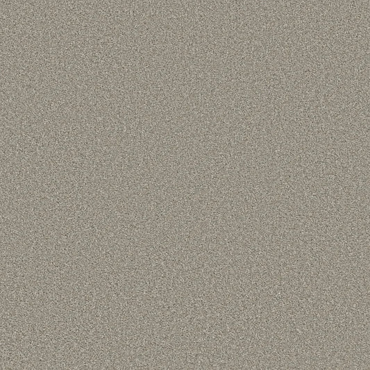 Shaw Floors - Carpet - Simply The Best  - TRUSOLUTIONS III - Stone Path