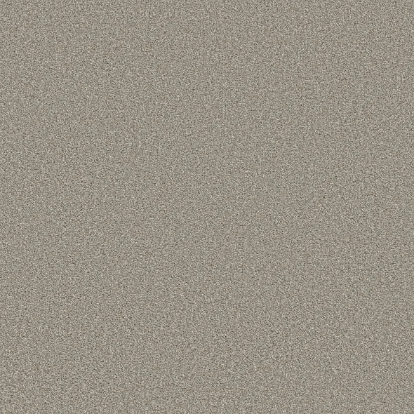 Shaw Floors - Carpet - Simply The Best  - TRUSOLUTIONS III - Stone Path