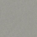 Shaw Floors - Carpet - Simply The Best  - Attainable - Platinum