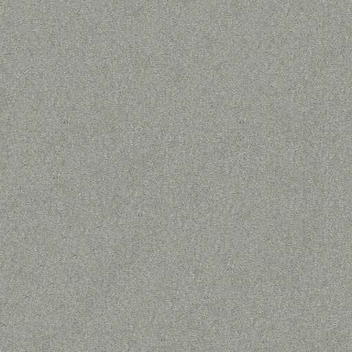 Shaw Floors - Carpet - Simply The Best  - Attainable - Platinum