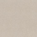 Shaw Floors - Carpet - COMFORTING I - Porcelain