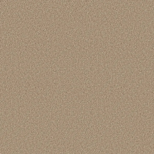 Shaw Floors - Carpet - COMFORTING I - Picket Fence