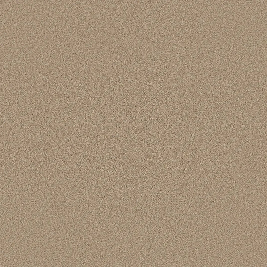 Shaw Floors - Carpet - COMFORTING II - Picket Fence
