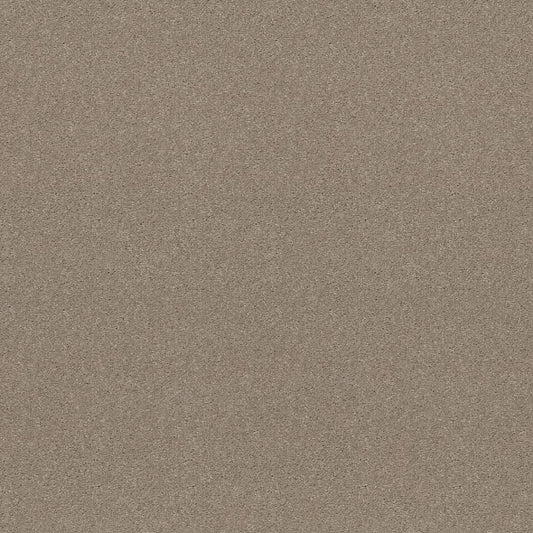 Shaw Floors - Carpet - Simply The Best  - Attainable - Pebble Path