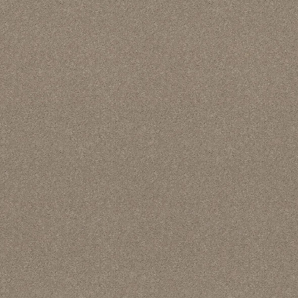 Shaw Floors - Carpet - Simply The Best  - Attainable - Pebble Path