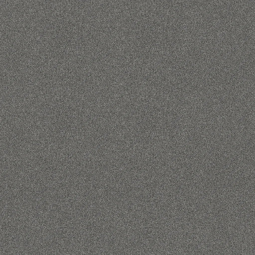 Shaw Floors - Carpet - COMFORTING I - Pencil Point
