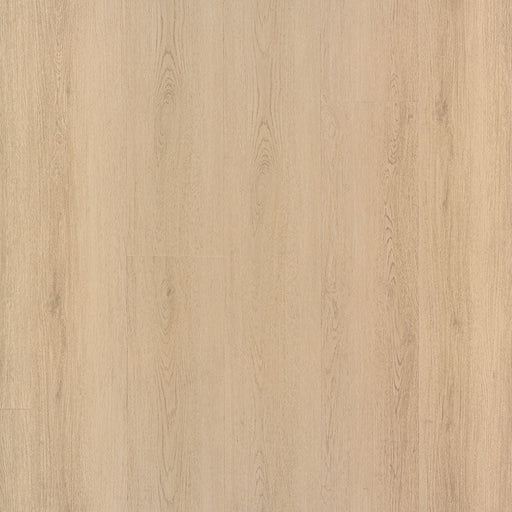 MSI Surfaces - Laurel Collection - Palmilla