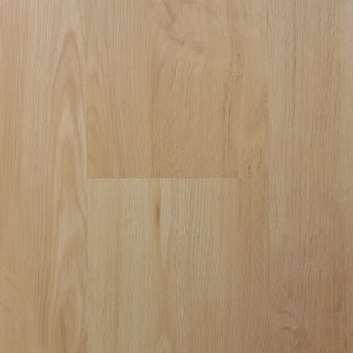 Pontek - SPC Collection - Pampas