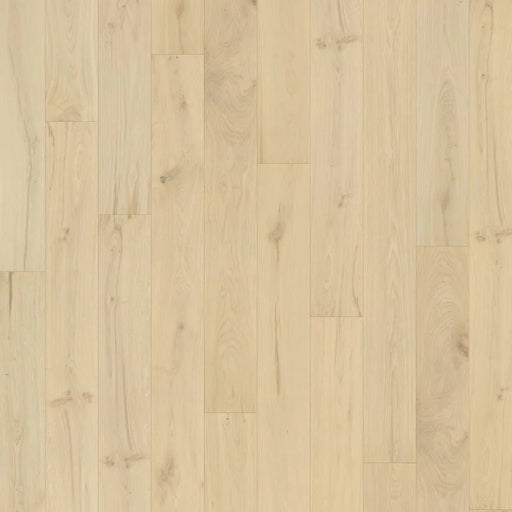 Caledon - Origins Collection - Parma