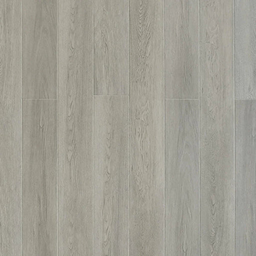 Toucan - SPC904 - Patina Grey