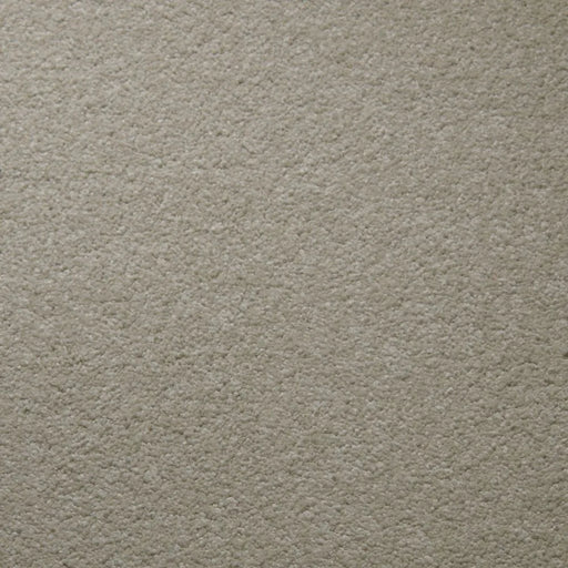 Primco - Estates Carpet - Tender Collection - Pearl
