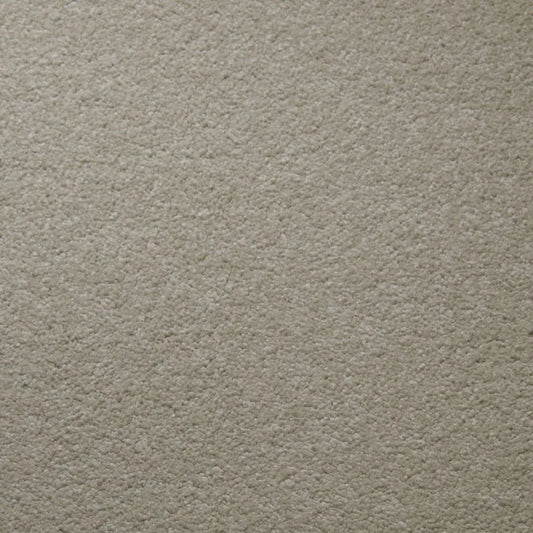 Primco - Estates Carpet - Tender Collection - Pearl