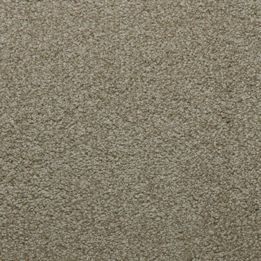 Primco - Estates Carpet - Tender Collection - Perseverance