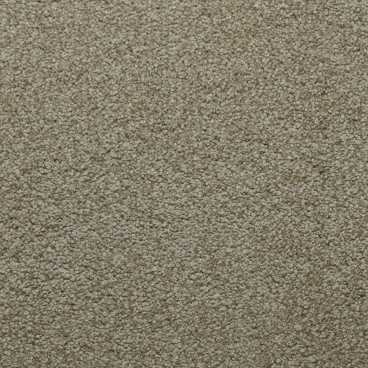 Primco - Estates Carpet - Tender Collection - Perseverance