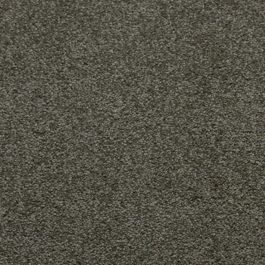 Primco - Estates Carpet - Tender Collection - Platinum