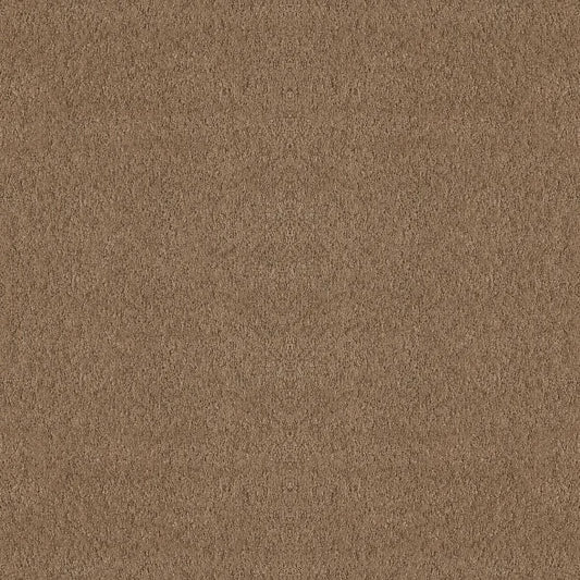 Shaw Floors - Carpet - Foundations Collection  - Alluring Canvas - Raw Wood