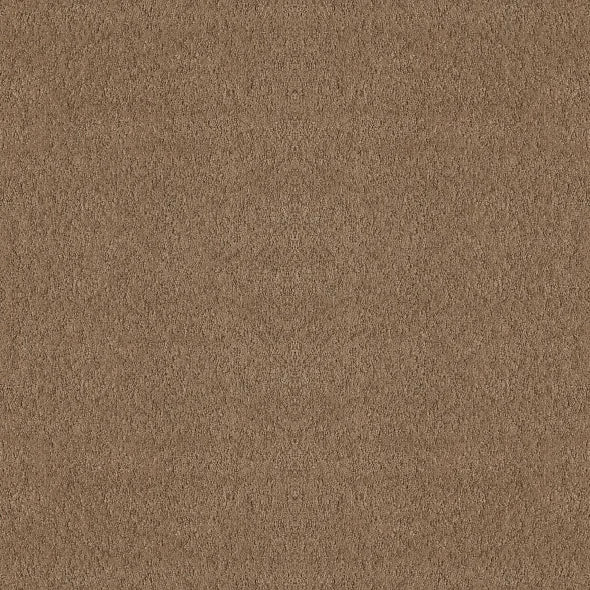 Shaw Floors - Carpet - Foundations Collection  - Alluring Canvas - Raw Wood