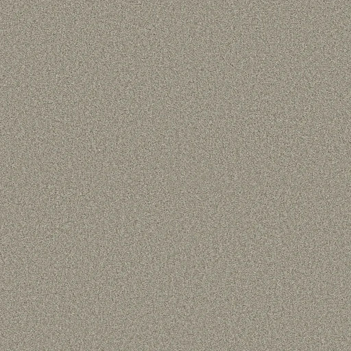 Shaw Floors - Carpet - COMFORTING I - Rustic