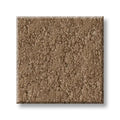 Shaw Floors - Carpet - Foundations Collection  - Alluring Canvas - Raw Wood