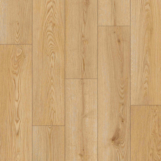 TAIGA - HydroXpert Collection - Roasted Brown