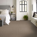 Shaw Floors - Carpet - Foundations Collection - Faint Intent - Raw Wood