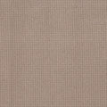 Shaw Floors - Carpet - Foundations Collection - Faint Intent - Raw Wood