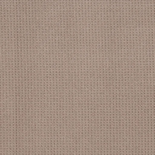 Shaw Floors - Carpet - Foundations Collection - Faint Intent - Raw Wood