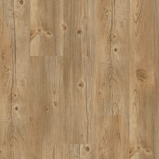 Kennedy - Shamrock Surfaces - Newport II Collection - Rustic Pine