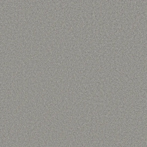 Shaw Floors - Carpet- Foundations Collection - HARMONIOUS II - Sentimental