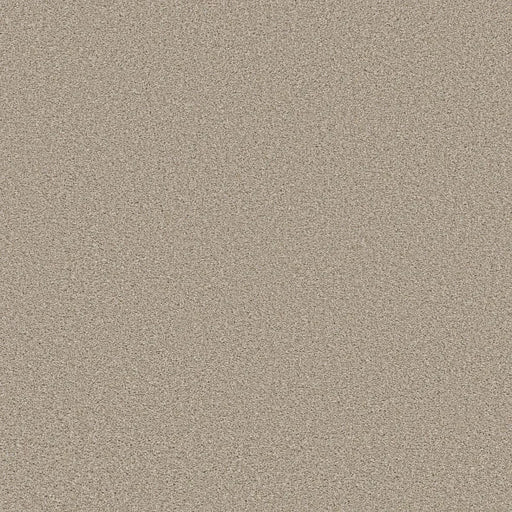 Shaw Floors - Carpet - Simply The Best  - TRUSOLUTIONS III - Sand
