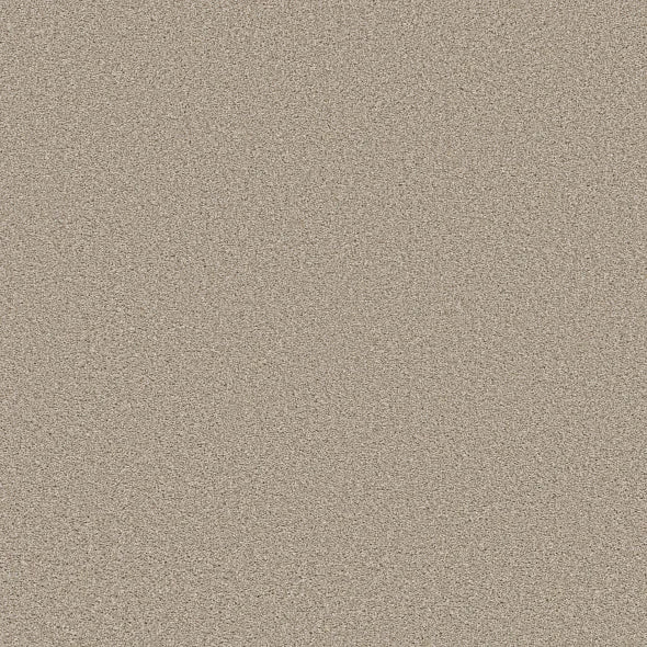 Shaw Floors - Carpet - Simply The Best  - TRUSOLUTIONS III - Sand