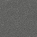 Shaw Floors - Carpet - Simply The Best  - Attainable - Slate