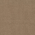 Shaw Floors - Carpet - COMFORTING I - Studio
