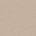 Shaw Floors - Carpet - COMFORTING I - Shadow